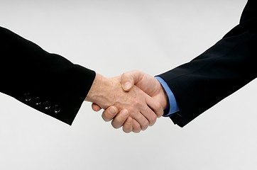 Image showing Professional Hand Shake