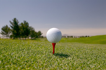 Image showing White Golf Ball on Tee