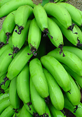 Image showing bunch of green bananas