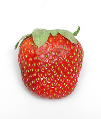 Image showing Fat Strawberry