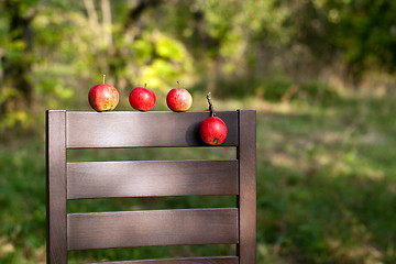 Image showing Ripe red apples on the back of chair