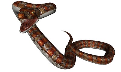 Image showing Snake