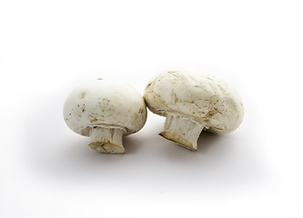 Image showing Mushrooms