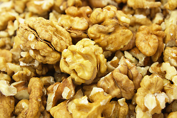 Image showing Walnuts