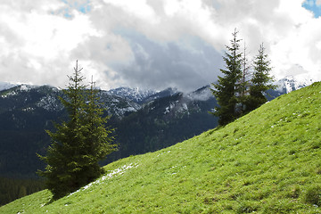 Image showing Mountains spring