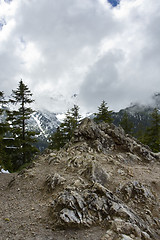 Image showing Mountains spring