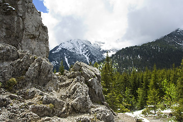 Image showing Mountains spring