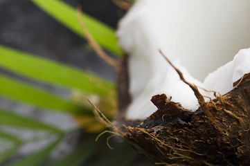 Image showing coconut and palm leaf. exotic scene