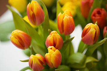 Image showing Tulips