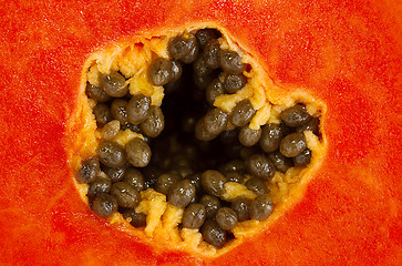 Image showing Mellow Papaya