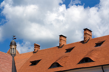 Image showing Roof of the Castle