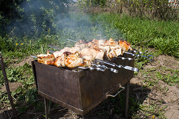 Image showing Chicken Shashlik