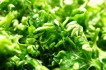 Image showing parsley