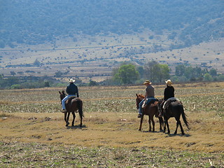 Image showing Horseback riding