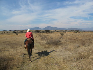 Image showing Mexican lonely rider