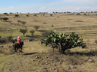 Image showing Riding in Mexican countryside