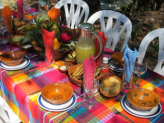 Image showing Colorful picnic