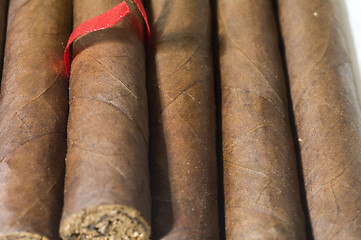 Image showing quality hand made cigars from Nicaragua