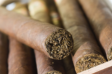Image showing quality hand made cigars from Nicaragua