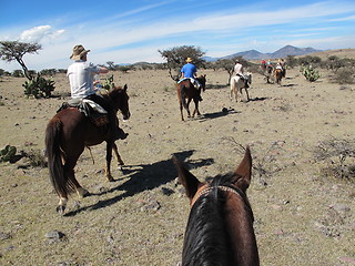 Image showing Horseback riding