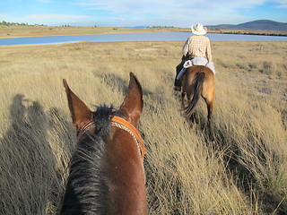 Image showing Horseback riding