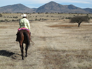 Image showing Mexican rider