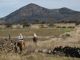 Image showing Horseback riding