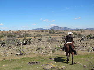 Image showing Mexican rider