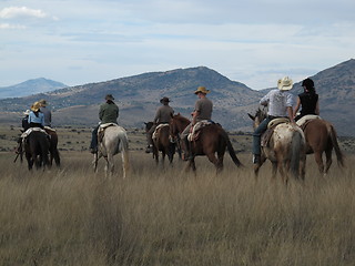 Image showing Group of riders