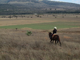 Image showing Rider