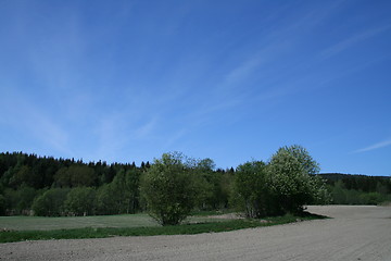 Image showing Farmland