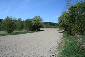 Image showing Farmland