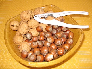 Image showing Hazelnuts and walnuts