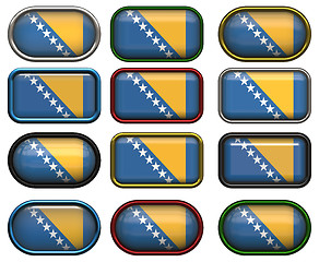 Image showing twelve buttons of the Flag of Bosnia