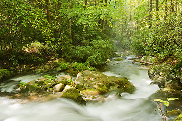 Image showing Great Smoky Mountains national park