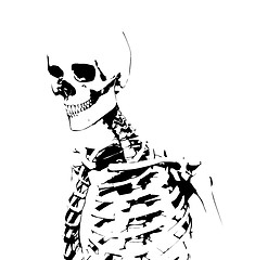 Image showing Illustrated Skeleton