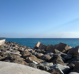 Image showing Sea Defenses