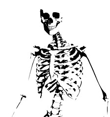 Image showing Illustrated Skeleton