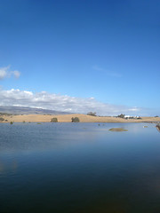 Image showing Maspalomas Water View