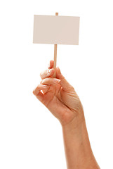 Image showing Woman Holding Blank White Sign Isolated on White