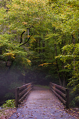 Image showing Fog in Great Smoky Mountains