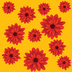 Image showing red flowers