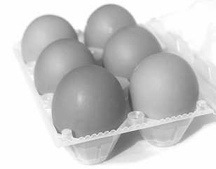 Image showing Eggs