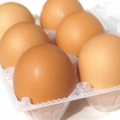 Image showing Eggs