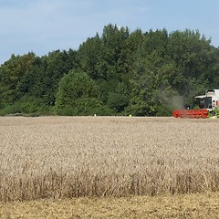 Image showing Harvest