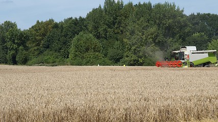 Image showing Harvest