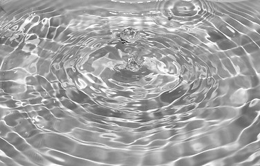 Image showing Water droplet