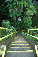 Image showing Stairs