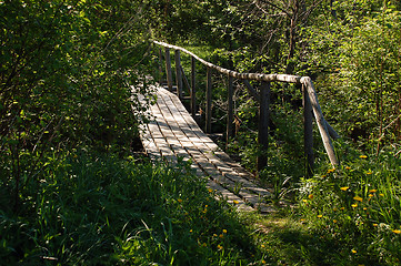 Image showing Bridge in the Backwoods