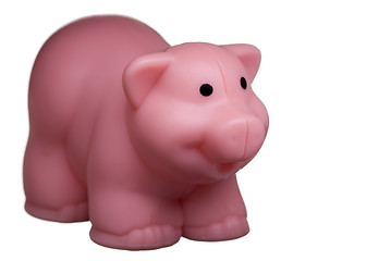 Image showing Pig